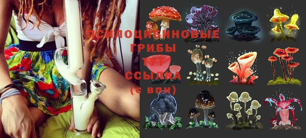 твердый Вяземский