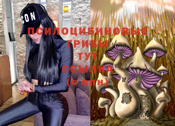 2c-b Вязьма